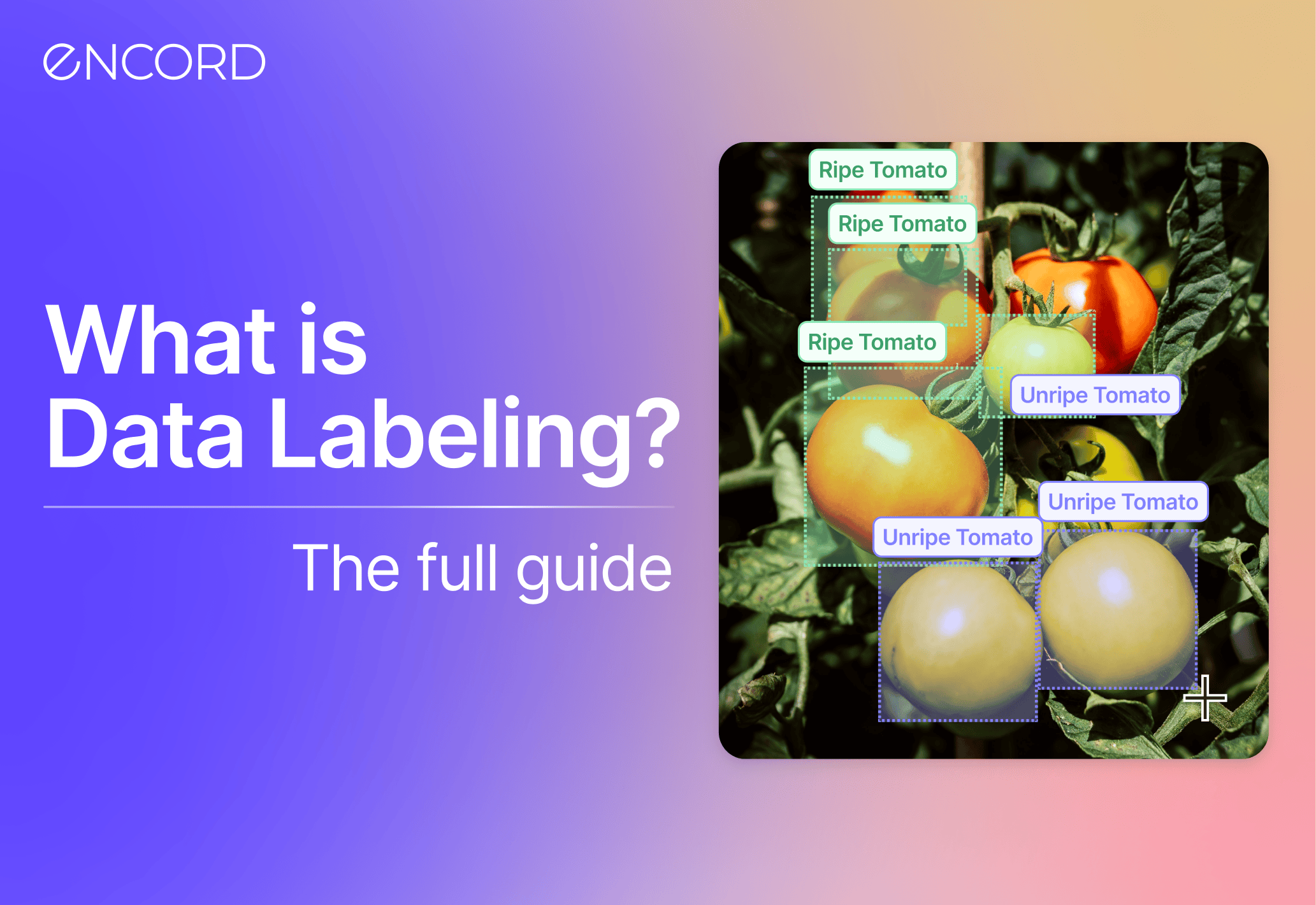 What is Data Labeling The Full Guide Encord